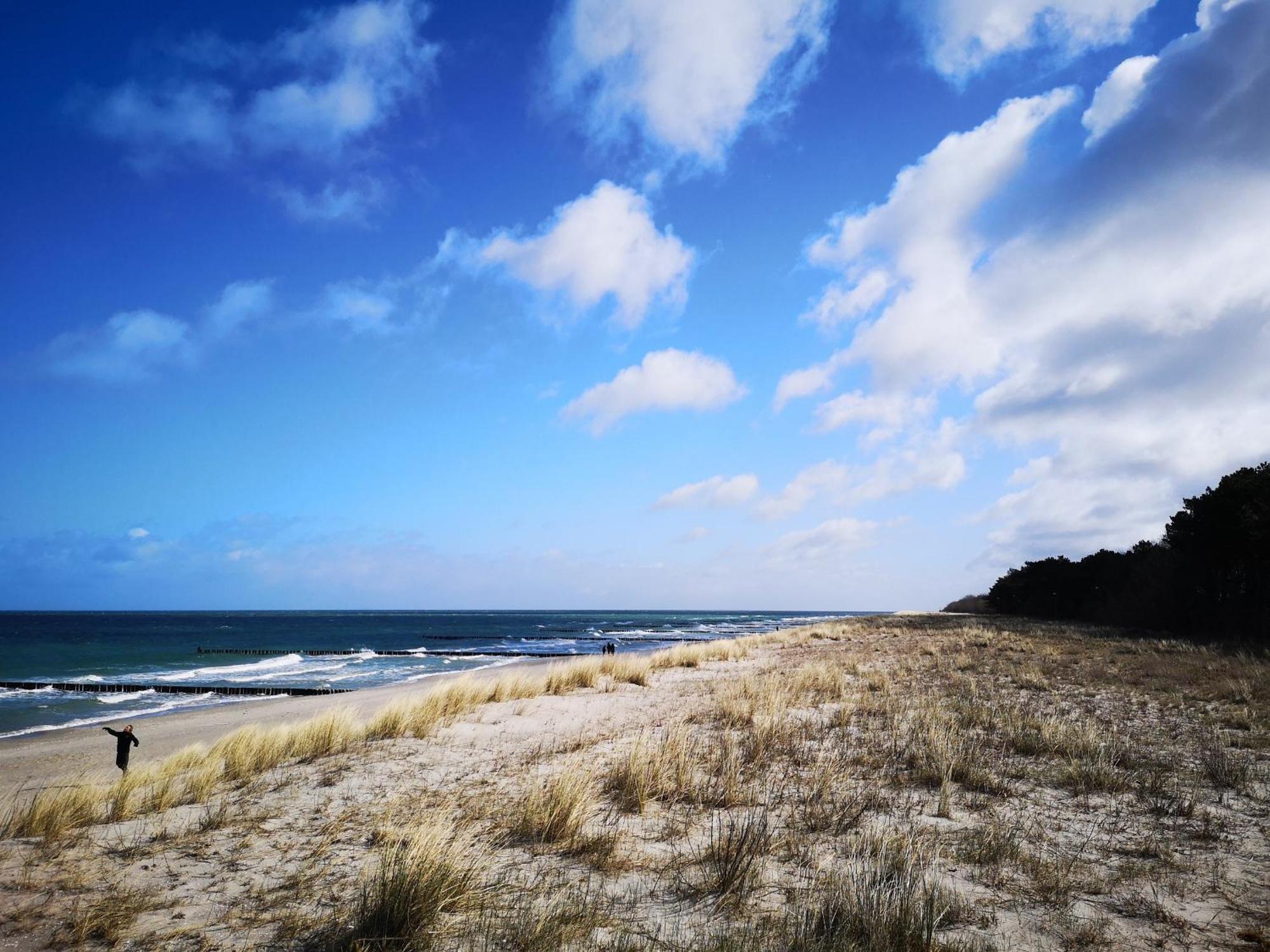Hafenstr_ 41 A Haus Marienlinde Villa Zingst Ngoại thất bức ảnh