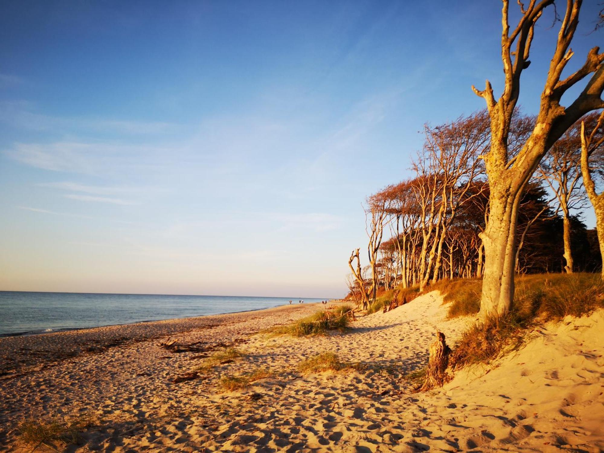 Hafenstr_ 41 A Haus Marienlinde Villa Zingst Ngoại thất bức ảnh